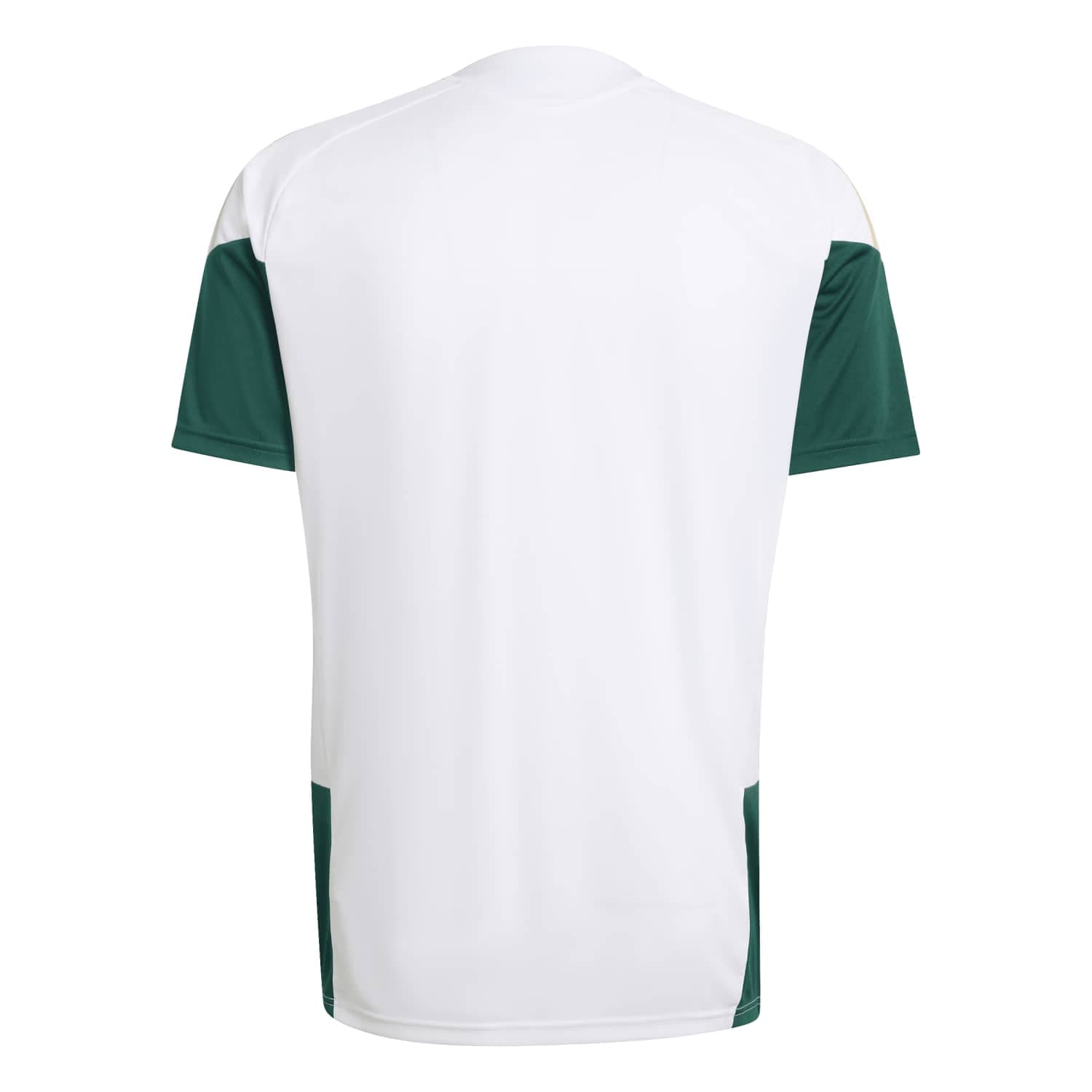 Italy World Cup 2026 Training Jersey alternate
